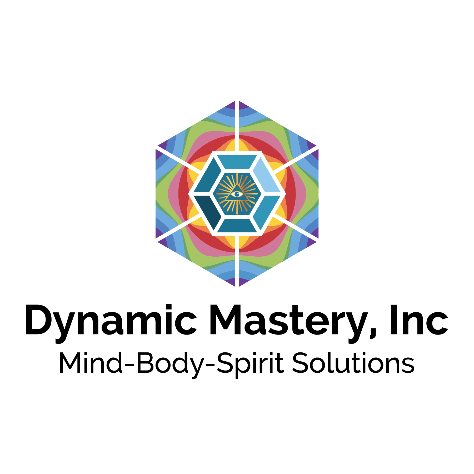 Dynamic Mastery, Inc Logo